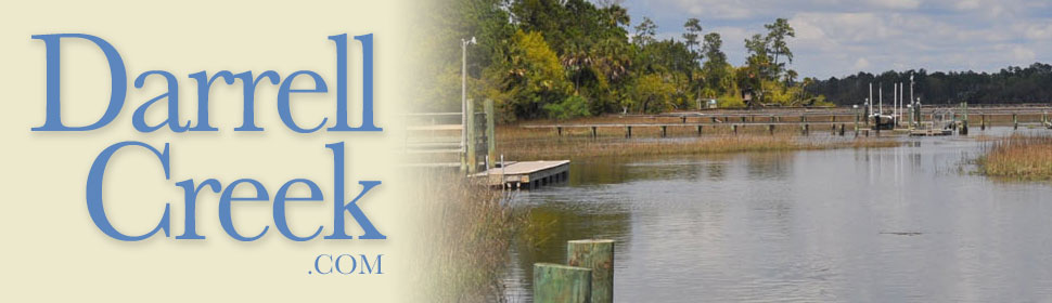 Darrell Creek, Mount Pleasant SC Homes for Sale